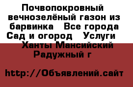 Почвопокровный, вечнозелёный газон из барвинка - Все города Сад и огород » Услуги   . Ханты-Мансийский,Радужный г.